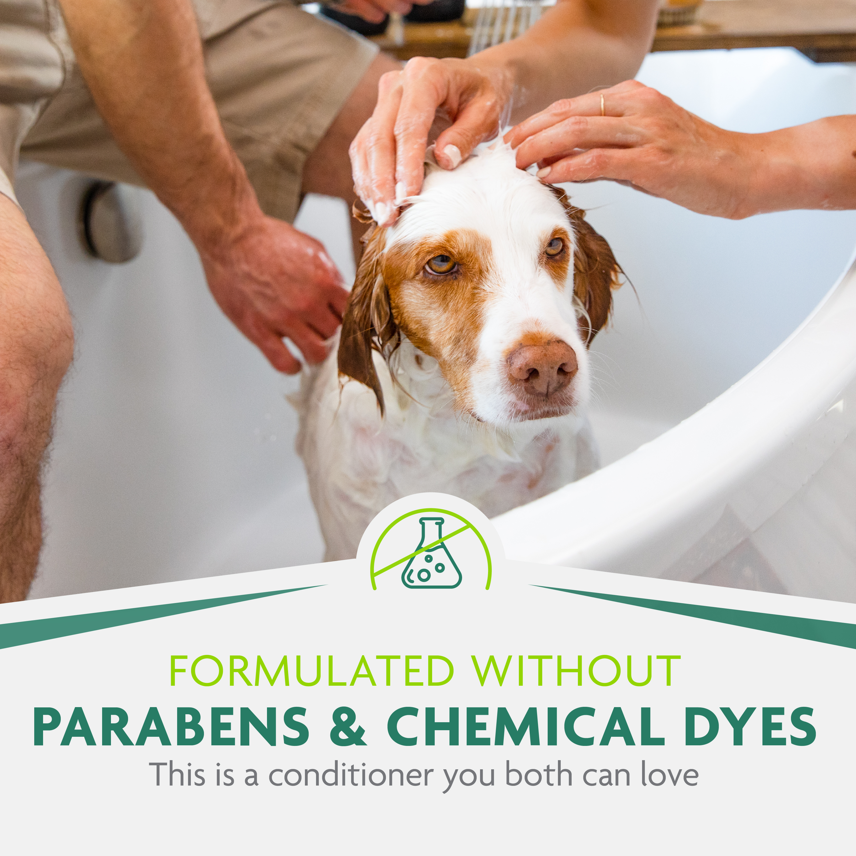 Deshedding conditioner for dogs 2025
